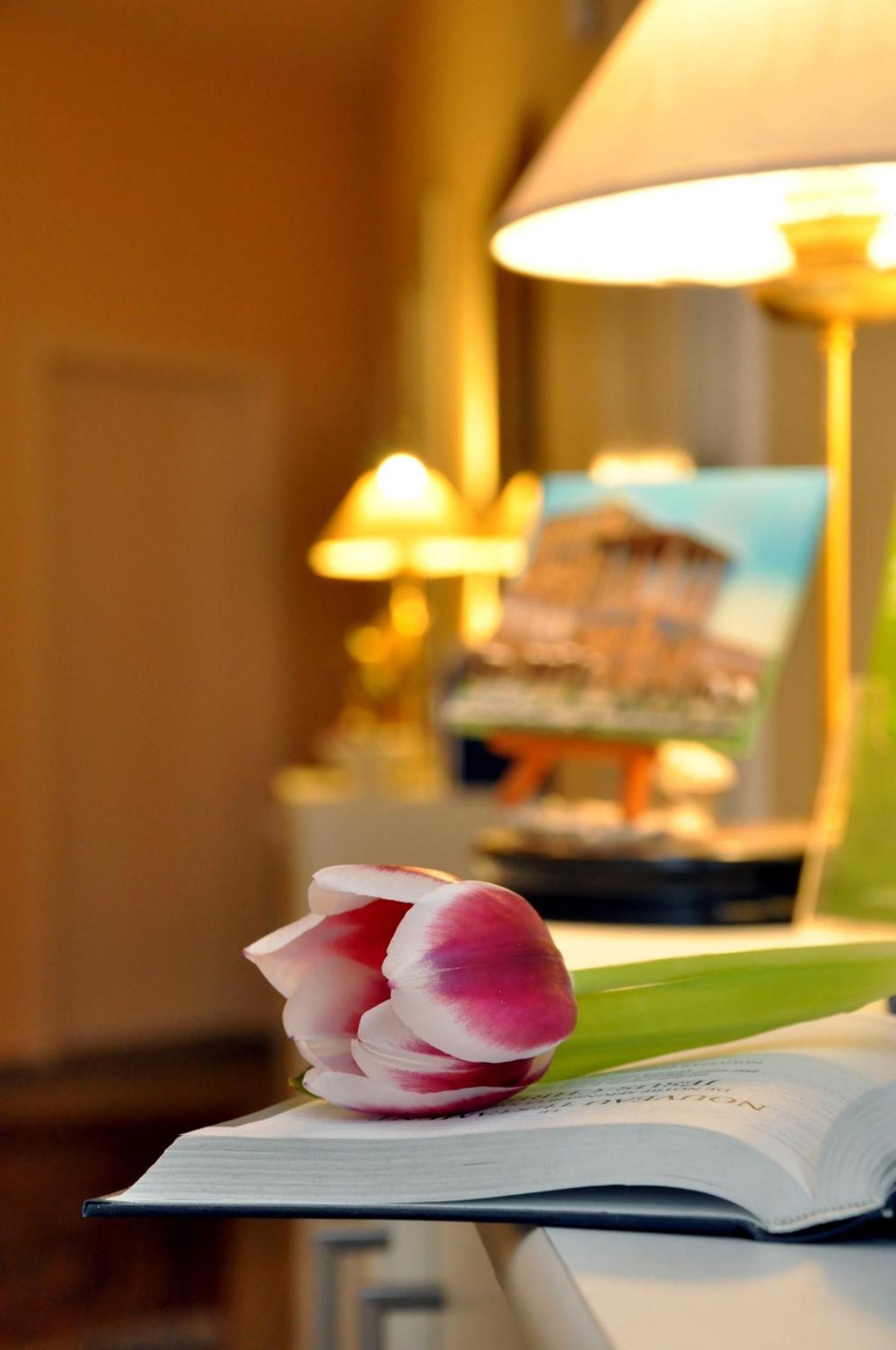 Hotel Apadana Frankfurt Frankfurt am Main ภายนอก รูปภาพ